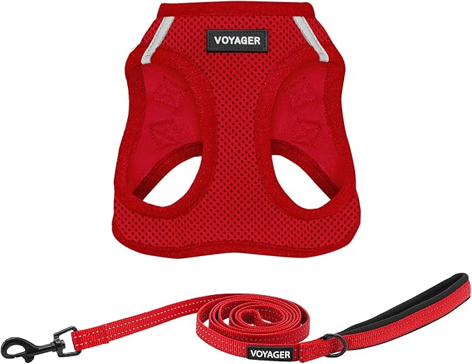 Voyager Step-in Air All Weather Mesh Harness and Reflective Dog 5 ft Leash Combo with Neoprene Handle, for Small, Medium and Large Breed Puppies by Best Pet Supplies - Set (Red), M (Chest: 16-18")