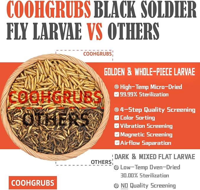 Dried Black Soldier Fly Larvae for Chickens 10 lb - All Natural High-Calcium Poultry Feed & Bird Treats