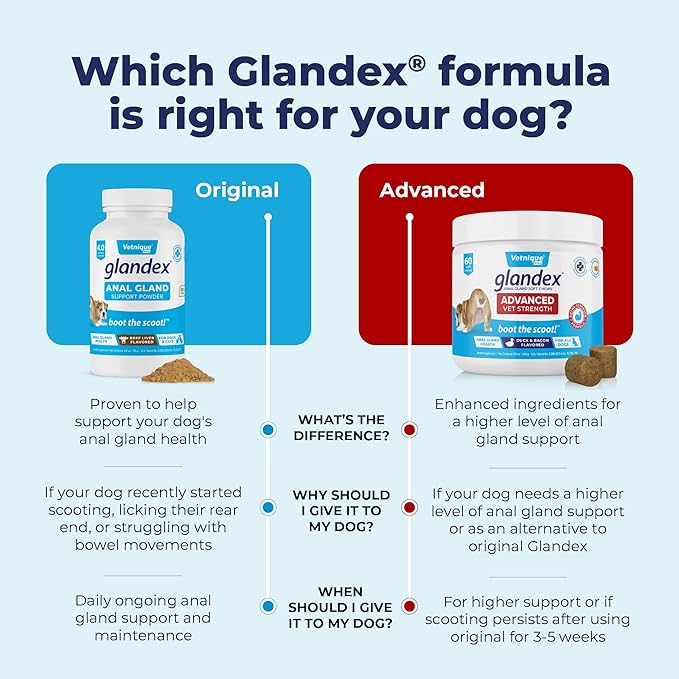 Vetnique Labs Glandex Dog Fiber Supplement Powder for Anal Glands with Pumpkin, Digestive Enzymes & Dog Probiotics for Digestive Health - Vet Recommended - Boot The Scoot (Beef Liver, 4.0oz Powder)