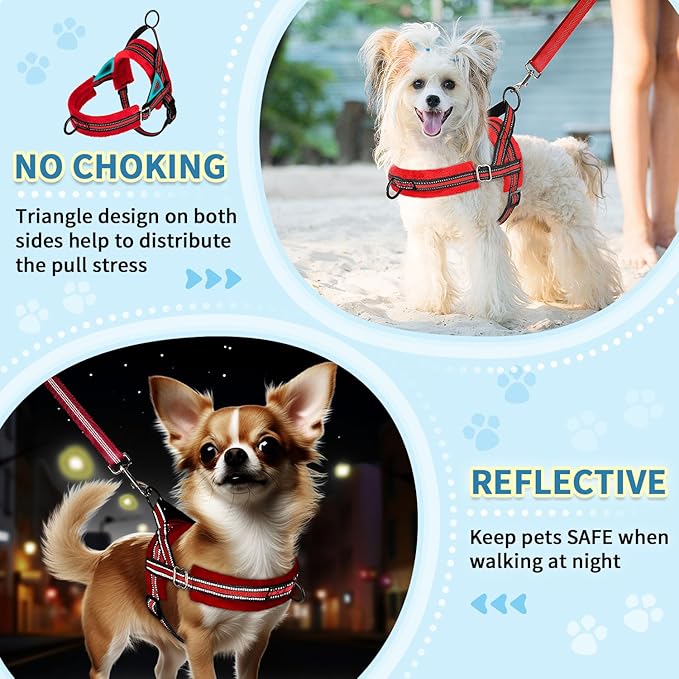 SlowTon No Pull Small Dog Harness and Leash Set, Puppy Soft Vest Harness Neck & Chest Adjustable, Reflective Lightweight Harness & Anti-Twist Pet Lead Combo for Small Medium Dogs (R-Front Clip,S)