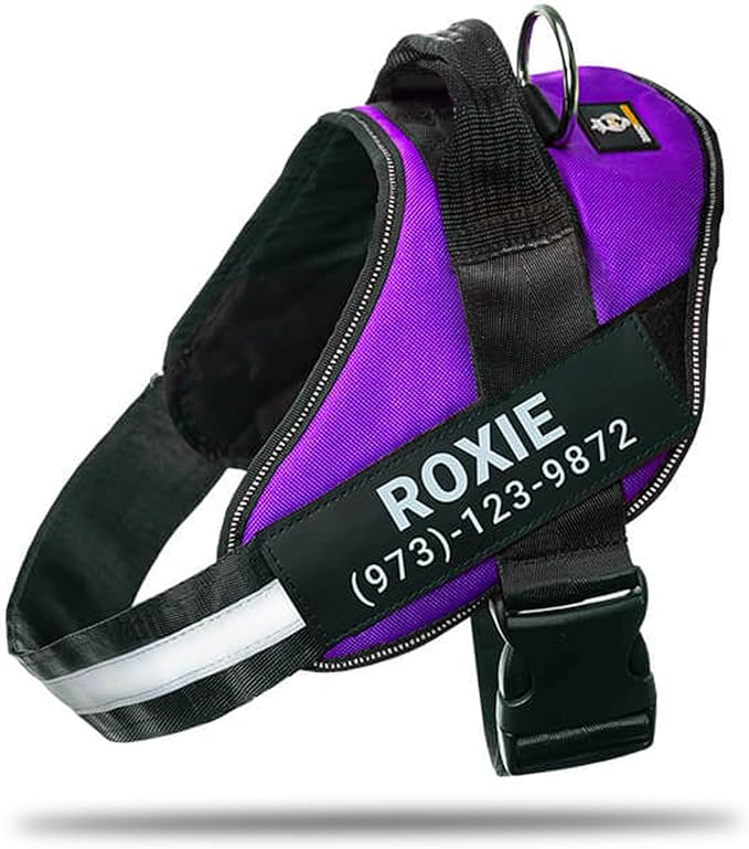 Personalized No-Pull Dog Harness with Name Patch, Adjustable, Reflective, Padded, Heavy Duty Pet Vest to Prevent Tugging, Pulling, or Choking, Training and Walking, Purple, 2XL