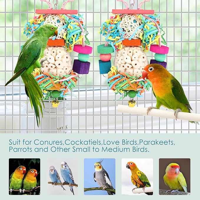 BBjinronjy Bird Toys,2PCS Hanging Natural Soft Sola Ball Beak Chew Shred Forage Toys for Parrots,Cockatiel,Conure,Love Birds,Parakeets,Budgie and Other Small Birds