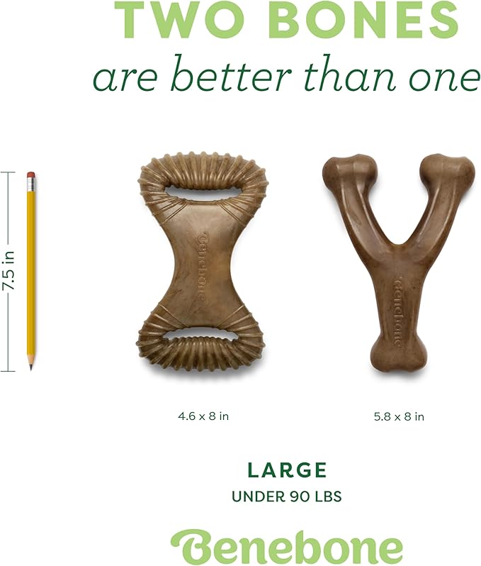 Benebone 2-Pack Wishbone/Dental Durable Dog Chew Toys, Real Bacon, Made in USA, Large