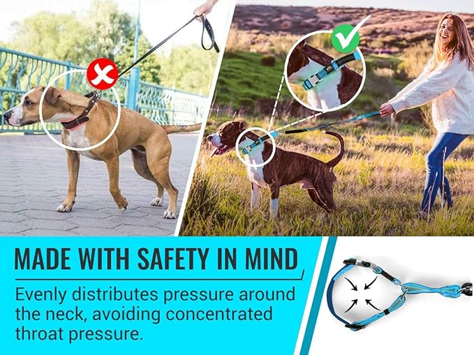 Blue Martingale Collar for Dogs - Heavy Duty Nylon Pet Collars for Escape-Free, No Pull Training & Walking with Alloy Metal Release Buckle & Reflective D Ring, One Time Adjustment, Safe & Secure, L