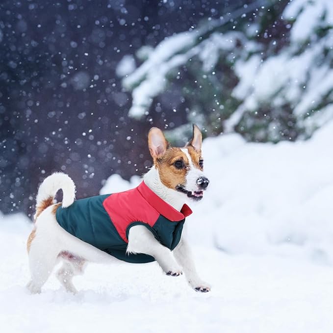 ASENKU Dog Winter Coat - Waterproof Windproof Dog Jacket, Warm Snowproof Doggie Puffer Vest for Cold Weather, Lightweight Snow Coats for Small Medium Large Dogs (Red&Navy, XXL)
