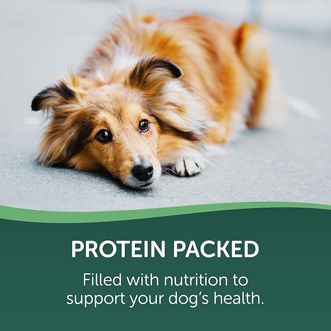 westminster pet products 08222 Wag N Tails, LB, Ducky Jerky, Dog Treat