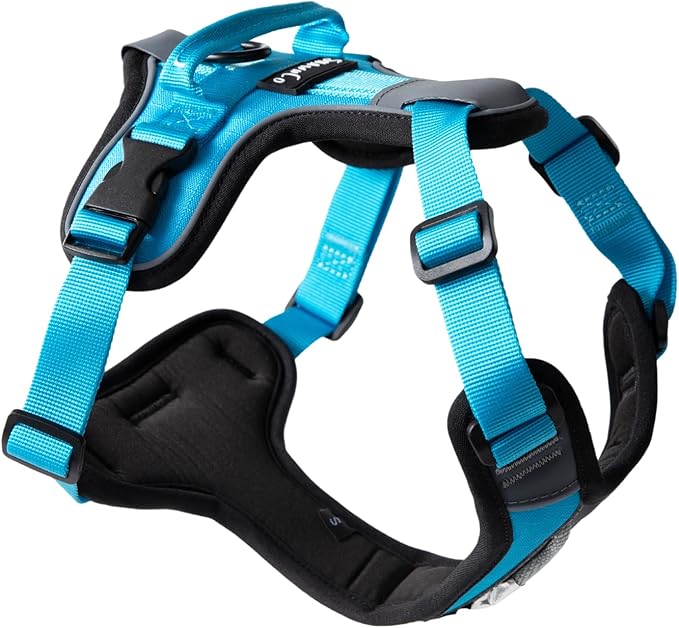ShawnCo Basecamp Dog Harness, No-Pull Pet Vest with 3 Leash Clips, Padded, Reflective, Lightweight and Adjustable Harness with Handle for Small, Medium and Large Dogs (Oceanic Blue, S)