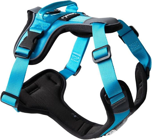 ShawnCo Basecamp Dog Harness, No-Pull Pet Vest with 3 Leash Clips, Padded, Reflective, Lightweight and Adjustable Harness with Handle for Small, Medium and Large Dogs (Oceanic Blue, S)