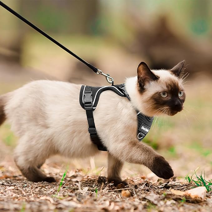 Cat Harness and Leash for Walking, The Upgrade Can be Adjusted in Four Directions and Breathable Cat Harness for Anti Escape That can be Fitted and Positioned, Reflective Strips Harness, Black, XS