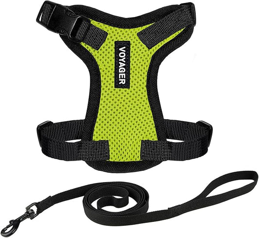 Voyager Step-in Lock Adjustable Cat Harness w. Cat Leash Combo Set with Neoprene Handle 5ft - Supports Small, Medium and Large Breed Cats by Best Pet Supplies - Lime Green/Black Trim, XS