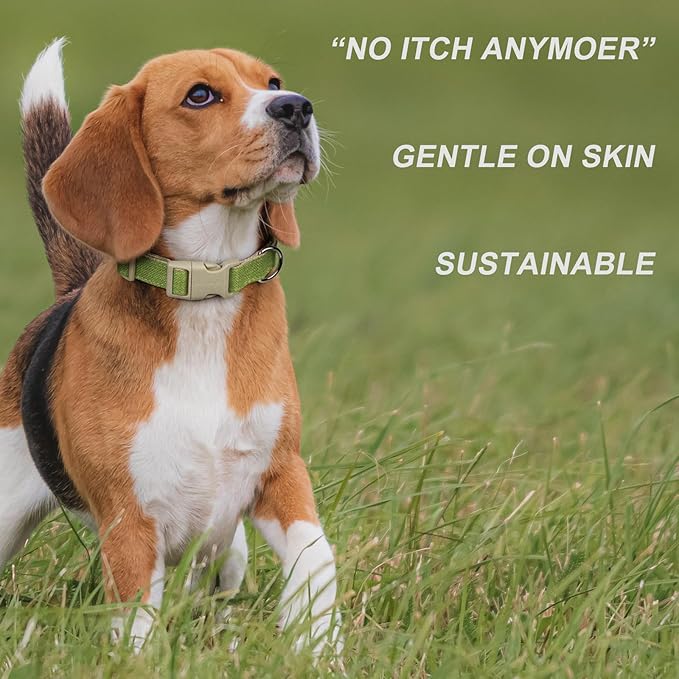 Plutus Pet Cotton Hemp Dog Collar and Leash Set, Adjustable Collar for Small, Medium, and Large Dogs, Heavy Duty and Soft on Skin, Green, XS