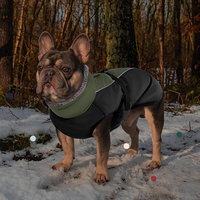 IECOii Extra Warm Reflective Dog Jacket Winter Coat with Buckle - Fleece Turtleneck for Small to Extra Large Dogs in Cold Weather