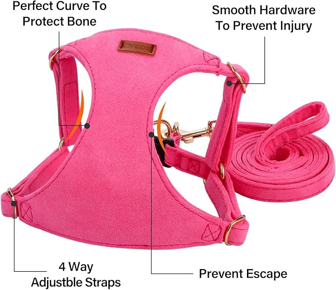 No Pull Dog Harness- Lightweight, Soft, Adjustable Small Harness Collar and Leash Set, Suitable for Cats Puppy Small and Medium-Sized Dog Outdoor Training and Running (hotpink, M)