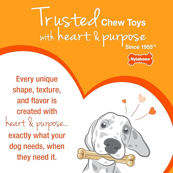 Nylabone Limited Edition 70th Birthday Textured Bone Power Chew Toy for Dogs, Durable & Tough Dog Toys for Aggressive Chewers, Roasted Chicken Flavor, X-Small Dogs - Up to 15 lbs (1 Count)