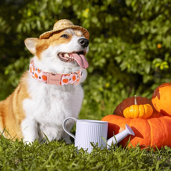 Unique style paws Dog Collar Metal Buckle Collar for Autumn Winter Christmas for Small Medium Large Boys Girls Dogs