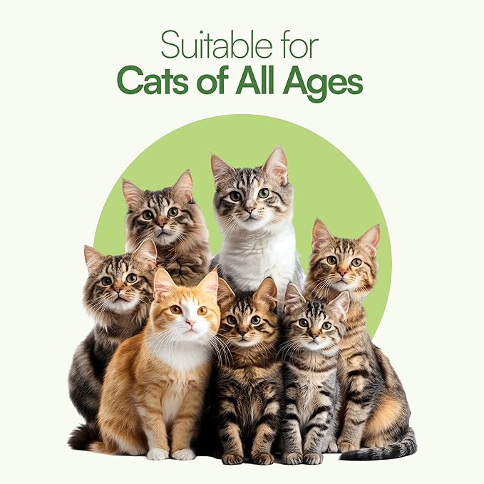 3 Pcs Catnip Balls with Feathers – Natural Catnip Toy for Play, Stress Relief & Healthy Enrichment Interactive Cat Toys Perfect for Indoor Cats & Kittens, Encourages Active Play & Wellness