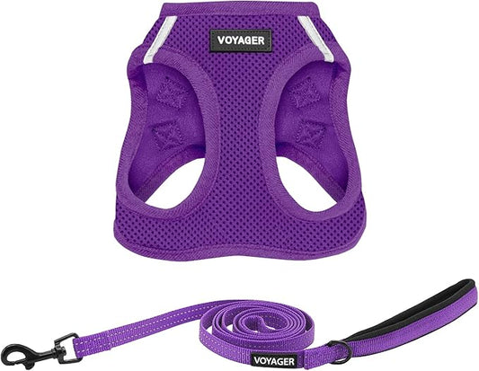 Voyager Step-in Air Cat Harness - All Weather Mesh Step in Vest Harness for Small and Medium Cats by Best Pet Supplies - Set (Purple), XXXS