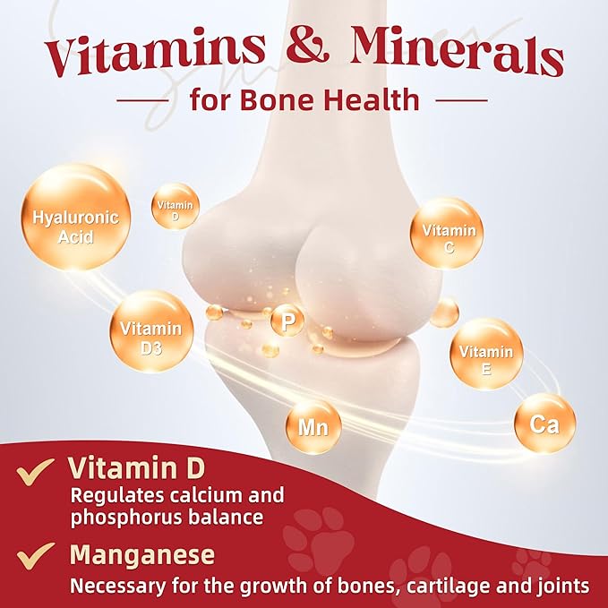 ZEBORA Glucosamine for Dogs - Joint Supplement for Dogs - Glucosamine Chondroitin, MSM, Omega-3, Collagen, Dog Hip and Joint Pain Relief, Support Mobility, Cartilage for Small & Large Breeds, 270g