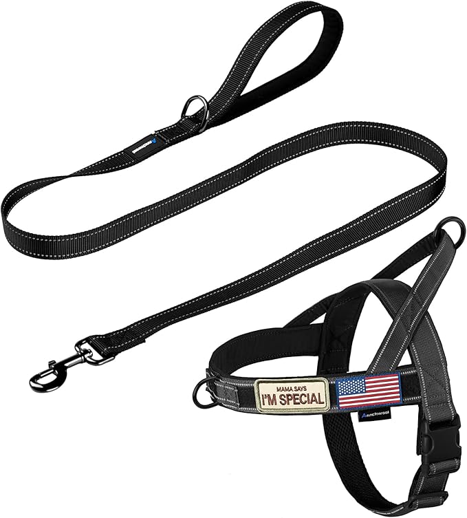 Annchwool No Pull Dog Harness with Padded Handle+5 Ft Leash,Reflective Strip Escape Proof and Quick Fit to Adjust Dog Harness,Easy for Training Walking for Small & Medium and Large Dogs(Black-Set,M)