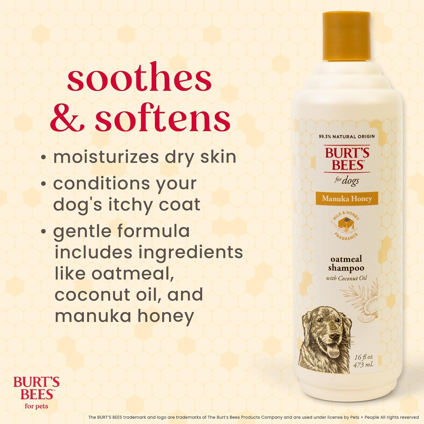 Burt’s Bees Manuka Honey Oatmeal Shampoo for Dogs with Coconut Oil, 16 Fl Oz