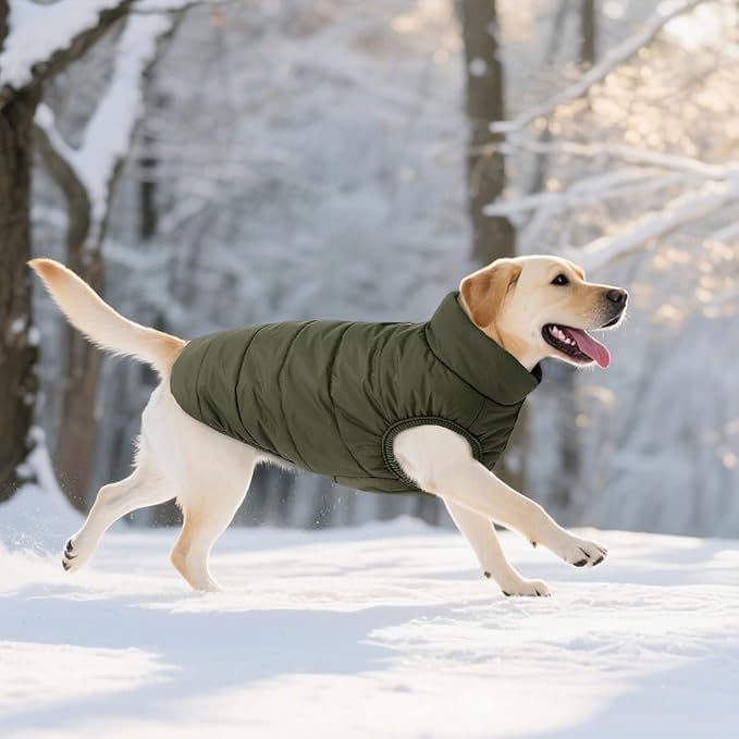 ASENKU Windproof Dog Winter Coat Waterproof Fleece Jacket Cold Weather Pet Apparel for Small Medium Large Dogs (ArmyGreen, S)