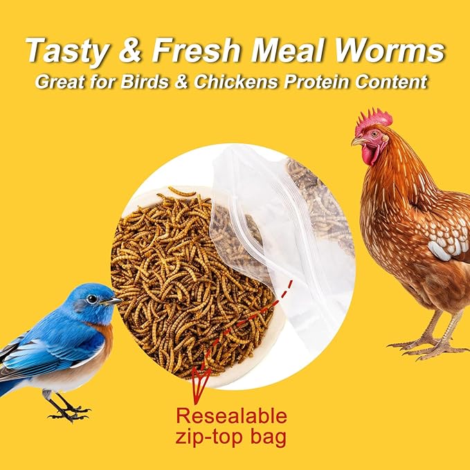 RANZ 10LBS Non-GMO Dried Mealworms for Chickens, High Protein Meal Worms, Premium Chicken Feed, Perfect Bird Food and Chicken Treats, Whole Large Mealworms for Wild Birds, Ducks, Fish