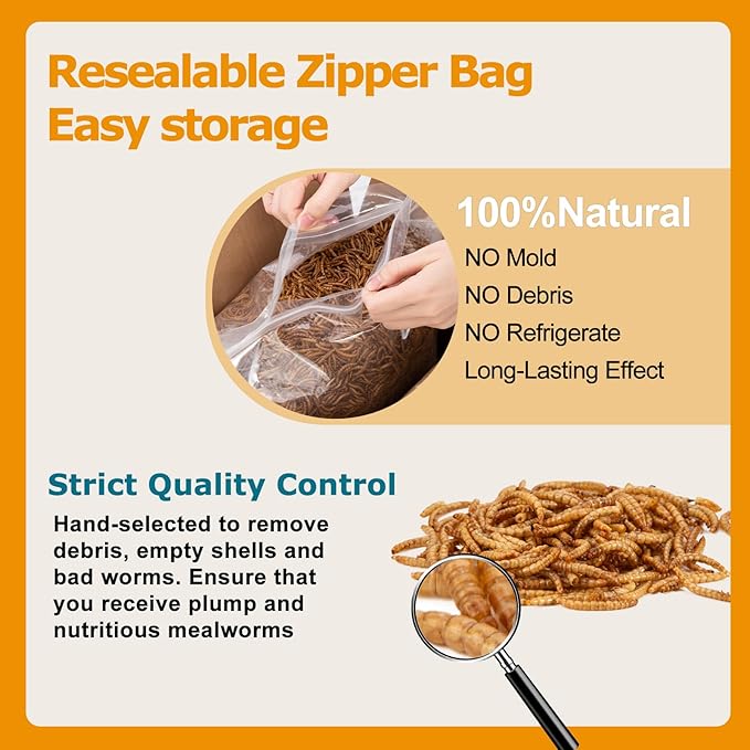 6LB (2LB*3) Dried Mealworms for Birds Treats Bulk - Non GMO Meal Worms Dried for Chickens, Wild Birds, Turkeys, Reptile Food - High Protein Grub Worms for Chickens for Laying Hens Chicken Worms