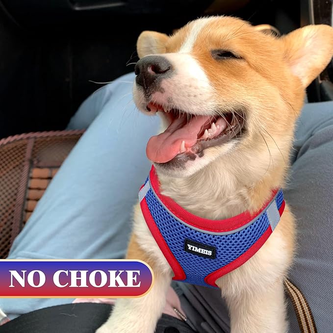 YIMEIS Dog Harness and Leash Set, No Pull Soft Mesh Pet Harness, Reflective Adjustable Puppy Vest for Small Medium Large Dogs, Cats (Red & Blue, Small (Pack of 1)