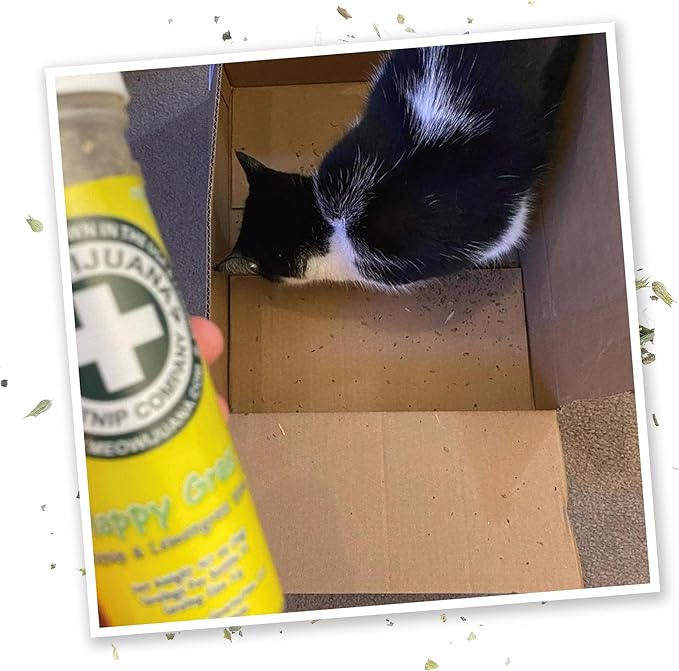 Meowijuana Strawberry Bundle | Get Sprung Refillable Strawberry Toy and Happy Grass Catnip Blend | Promotes Play and Cat Health | Includes North American Organic Catnip