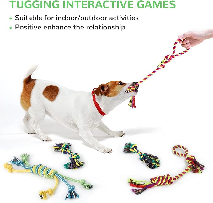 LEGEND SANDY Puppy Toys, Squeaky Dog Toys for Small Dogs, 12 Pack Puppy Chew Toys for Teething, Dog Rope Toy and Cute Stuffed Animals Value Bundle