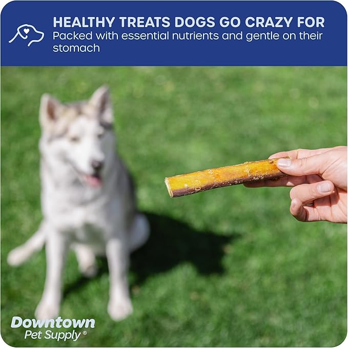 Downtown Pet Supply USA-Made 6", 3 Lb. Jumbo Bully Sticks for Large Dogs - Rawhide Free Dog Chews Long Lasting and Non-Splintering - Single Ingredient, Low Odor Bully Sticks for Medium Dogs