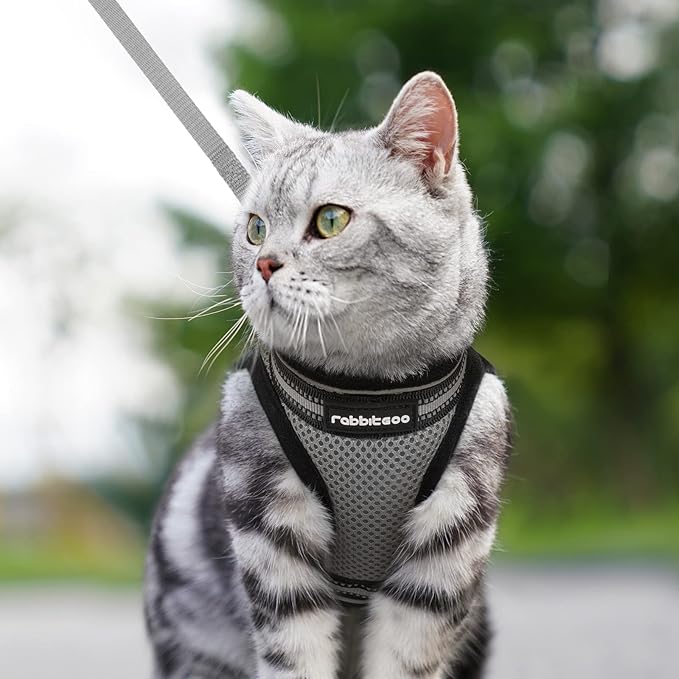 rabbitgoo Cat Harness and Leash Set for Walking Escape Proof, Adjustable Soft Kittens Vest with Reflective Strip for Cats, Comfortable Outdoor Vest, Grey, M