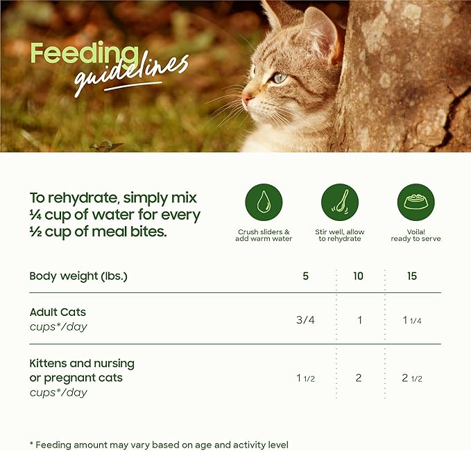 Freeze-Dried Raw Cat Food, Shelf Stable Food Bites, Chicken Recipe, High Protein Meal or Topper for Cats, Humanely Raised Meat, Organic, Non-GMO Produce, Made in The USA, 10oz Bag