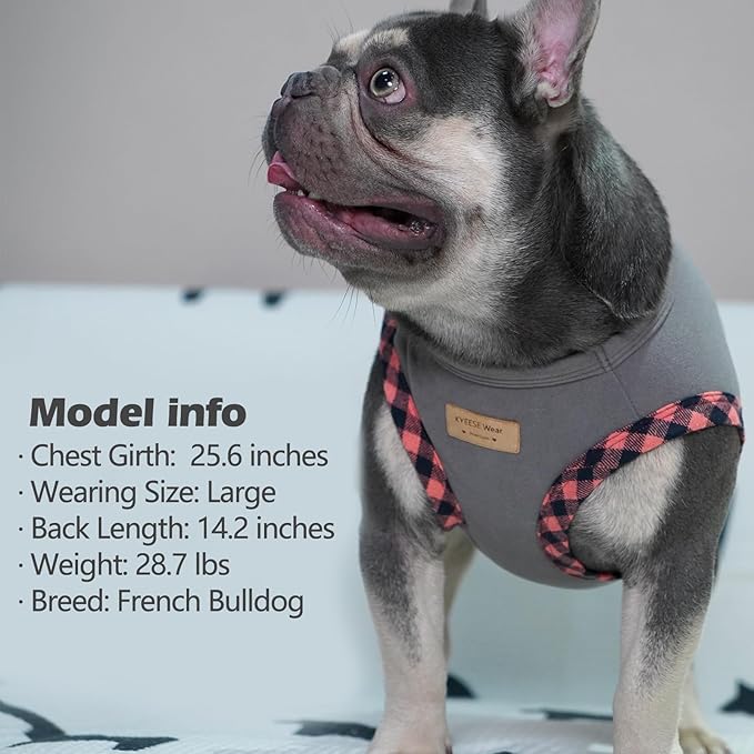 KYEESE Dog Shirt (2Pack Grey+Pink, Large) - Stretchy Velvet Pullover Vest, Lightweight Fleece, Sleeveless, Plaid Binding, Button Decoration, Breathable, Comfortable, for Small Dogs