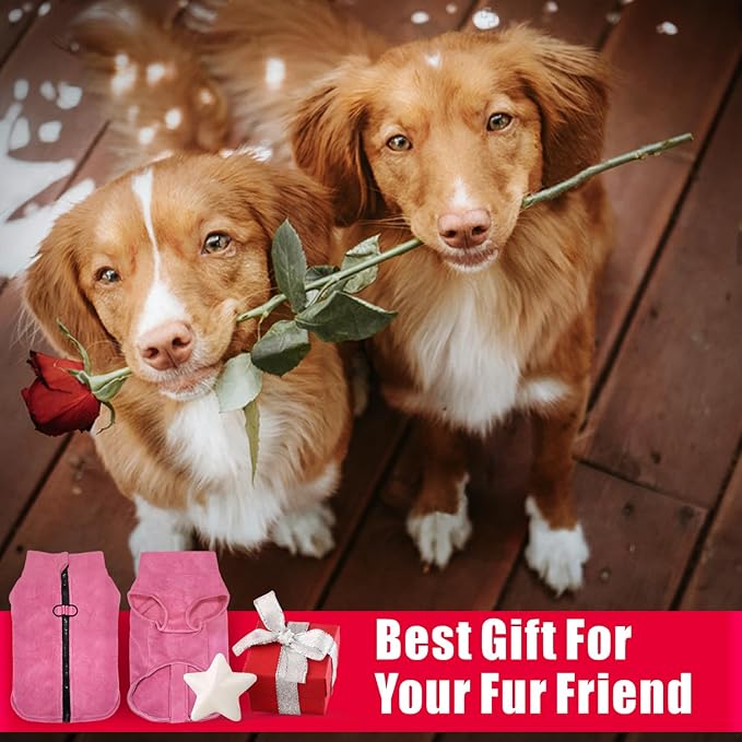 Idepet Dog Fleece Vest Sweater Zip Up Warm Pullover Dogs Jacket with D-Ring Leash Winter Cold Weater Coat Pet Sweatershirt Clothes Hoodie for Small Medium Dogs Boy Girl (Rose Red, XS)