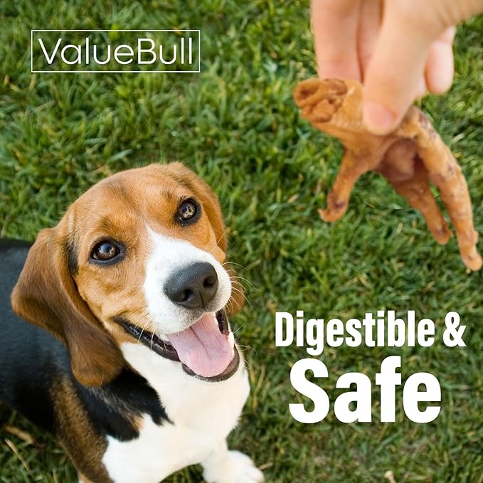 ValueBull Chicken Feet for Dogs, 400 Count Bulk Pack - All Natural Dog Chew, Hip and Joint Chew, Single Ingredient Dog Treat