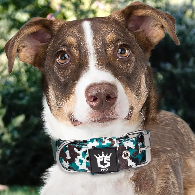 TSPRO Tactical Dog Collar 1.5 Inch Wide Thick Dog Collars with Heavy Duty Metal Buckle, Durable, Strong, Adjustable for Medium to Large Dogs (Camo Cyan L)