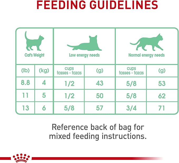 Royal Canin Feline Care Nutrition Digestive Care Adult Dry Cat Food, 3 lb Bag