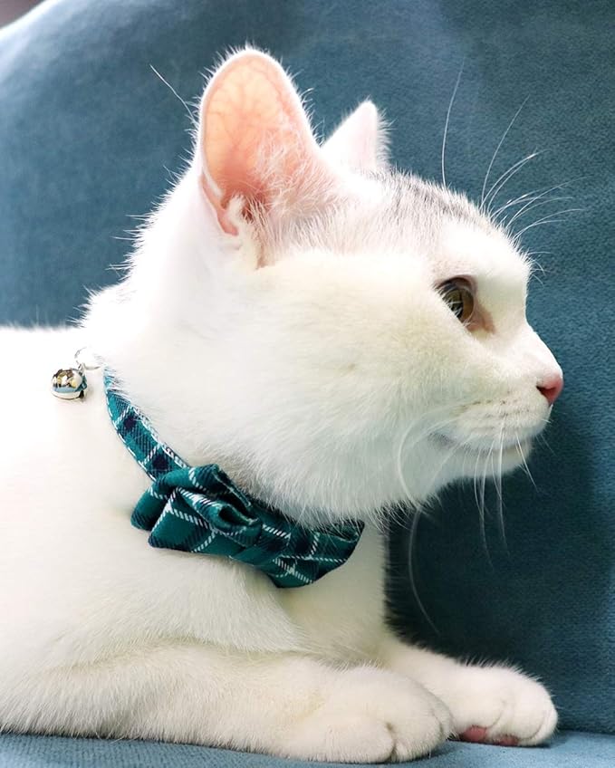 Joytale Upgraded Cat Collar with Bells, Breakaway Cat Collars with Bow Tie, 1 Pack Girl Boy Safety Plaid Kitten Collars, Teal