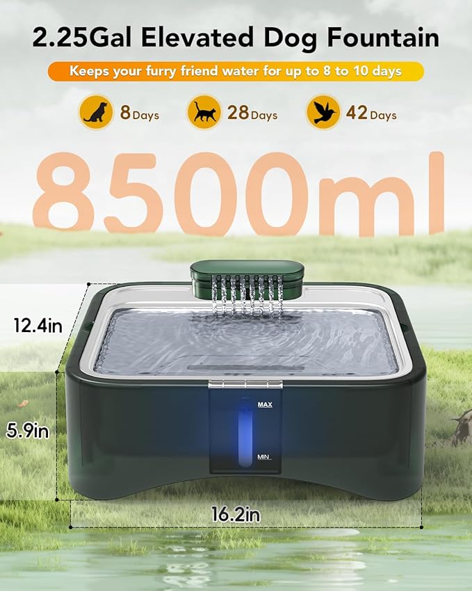 UPSKY 2.25Gal Elevated Dog Water Fountain, 4 Heights Adjustable Pet Fountain for All Dog Sizes, 304 Stainless Steel Tray Indoor Drinking Dispenser with Ultra-Quiet Pump & 4 Replacement Filters Green