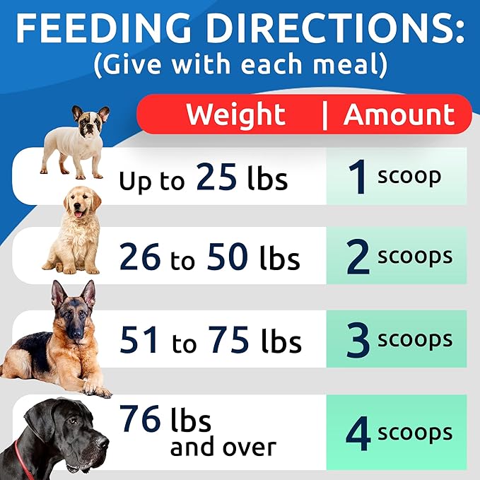 BARK&SPARK Pumpkin Powder for Dogs - 16.2oz Powdered Fiber Supplement and Stool Softener - Upset Stomach, Food Sensitivity - Improve Digestion - 16.2oz Powder