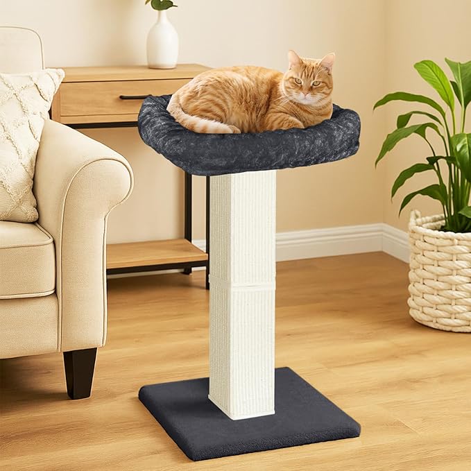 AGYM Cat Scratching Post, 32”Cat Scratcher with Large Plush Perch, Sisal & Carpet Scratching Post, Vertical Posts with Elevated Bed for Indoor Cats, Removable& Washable Cover, Darkgrey