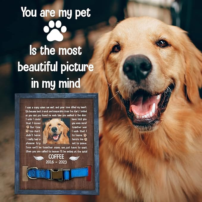Pawfect House 11x9in Pet Collar Frame - Personalized Custom Pet Loss Sign - Dog Memorial Picture Frame Gifts