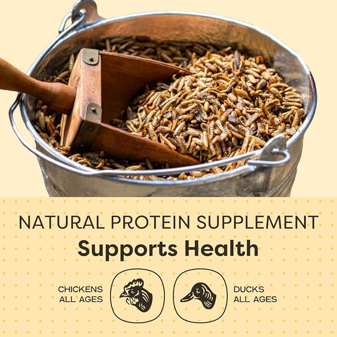 Scratch and Peck Grubs for Chickens and Ducks - 20 oz Bag - Sustainably Sourced - Naturally High Protein, Calcium Dense - Dried Black Soldier Fly Larvae Bird Treats