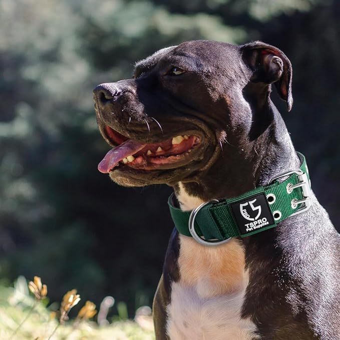TSPRO Tactical Dog Collar, Adjustable, with Patch & Double Needle Metal Buckle, Heavy Duty for Large to Extra Large Dogs, Durable for Walking, Running, Hiking & Training (Green L-XL)