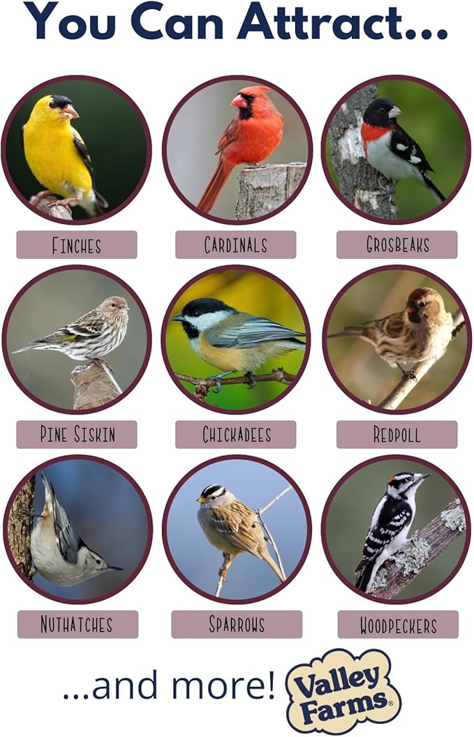 Valley Farms Whole Sunflower Hearts for Birds 4 LB 2-Pack (8 LB Total), Sunflower Kernels Wild Bird Food, No Mess Wild Bird Seed for Outside Feeders, Sunflower Hearts Birdseed