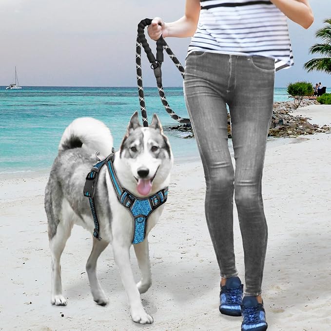 BARKBAY No Pull Dog Harness Large Reflective Dog Harness with Front Clip and Easy Control Handle for Walking Training Running with ID tag Pocket(Blue/Black,L)