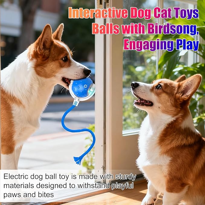 Tiny Fetch Dog Toy, Tinyfetch Interactive Dog Cat Toys Balls with Birdsong, 360° Smart Automatic Rolling Dog Ball Toy with Rope for Pets Indoor & Outdoor Play (Red)