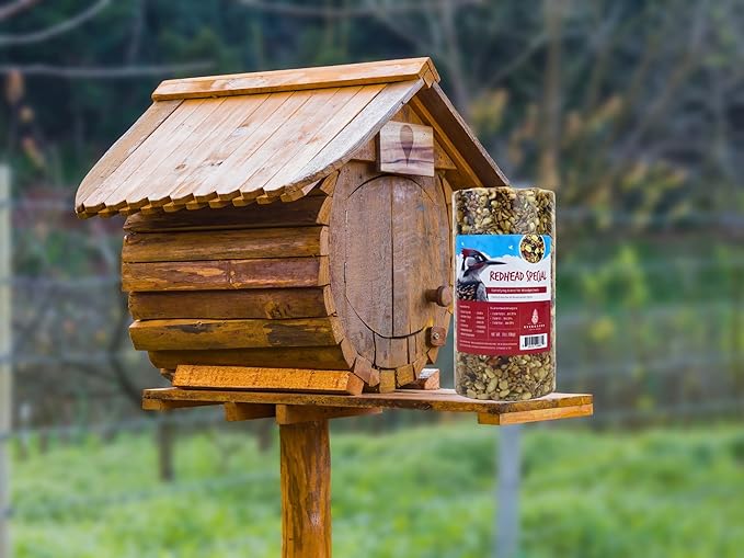 Birdseed Cylinders with Hole - Bird Seed for Outside Wild Birds (Small Cylinder, Redhead Special 2pc)