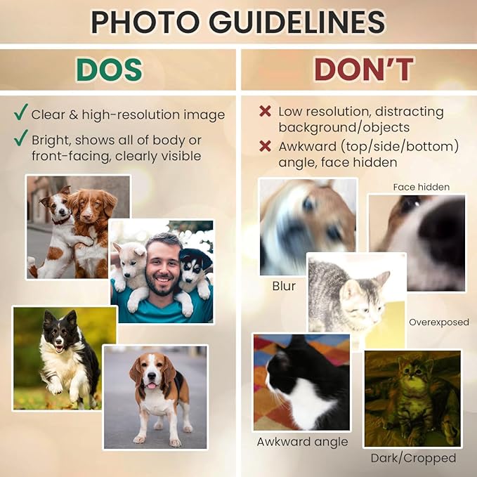 Rainbow Bridge Dog Memorial Gifts for Loss of Dogs - Custom Slate Stone in Loving Memory of Cat, Grave Marker to Decor Bereavement, Engraved Paw Prints on Pet Lovers' Hearts